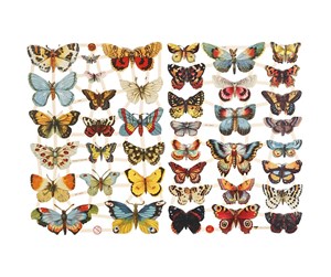 Kreative leker - Creativ Company Vintage Pictures Butterflies 2 Sheets - 19352