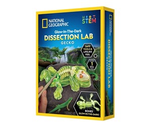 Leketøy - National Geographic Gecko Dissection Lab - 29-2451