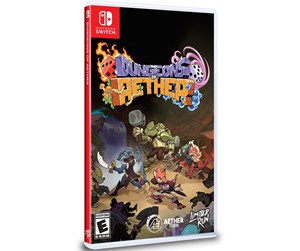 Spill - Dungeons of Aether - Nintendo Switch - Eventyr - 0810105677843