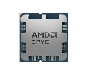 Prosessor/CPU - AMD EPYC 4344P - Tray Prosessor/CPU - 8 kjerner - 3.8 GHz - AMD AM5 - Bulk (uten vifte) - 100-000001479