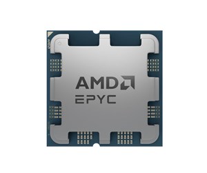 Prosessor/CPU - AMD EPYC 4244P - Tray Prosessor/CPU - 6 kjerner - 3.8 GHz - AMD AM5 - Bulk (uten vifte) - 100-000001480