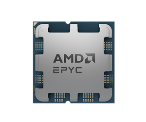 Prosessor/CPU - AMD EPYC 4124P - Tray Prosessor/CPU - 4 kjerner - 3.8 GHz - AMD AM5 - Bulk (uten vifte) - 100-000001570