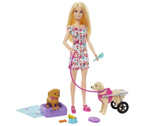 Dukker, Bamser & Utstyr - Barbie Doll with Pup and Dog in a Wheelchair - HTK37