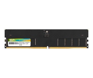 RAM - Silicon Power - DDR5 - module - 32 GB - DIMM 288-pin - 4800 MHz / PC5-38400 - unbuffered - SP032GBLVU480F02