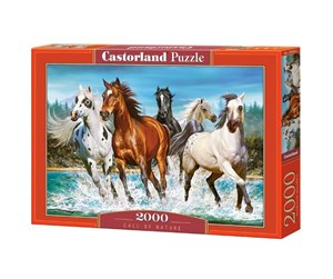 Puslespill - Castorland Herd of horses - C-200702-2