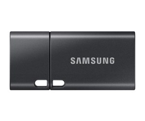 Minnepenn - Samsung Flash Drive - USB-C - Grå - 512GB - Minnepenn - MUF-512DA4/APC