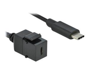 Tilbehør - DeLOCK Keystone Module USB 3.0 C female > USB 3.0 C Male - 86398