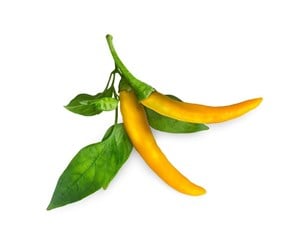 Smarthus - Click & Grow - Smart Garden Refill 3-pack Yellow Chili Pepper - SGR60X3