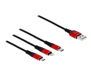 USB - DeLOCK 3 in 1 Charge-Only Cable - Lightning / USB - 1 m - 85892