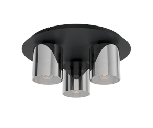 Lamper - EGLO GOROSIBA 1 ceiling lamp black - 99631