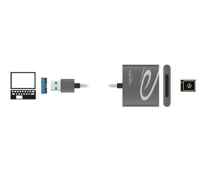 Flashminneadapter - DeLOCK Card Reader - USB 3.0 - 91583