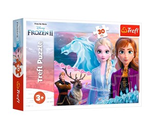 Puslespill - Trefl Puzzle - Frozen - The courage of the sisters (30 pieces) Gulv - TFL18253