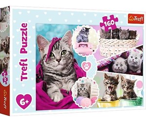 Puslespill - Trefl Puzzle - Lovely kittens (160 pieces) Gulv - TFL15371