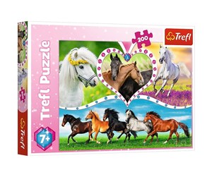 Puslespill - Trefl Puzzle - Beautiful horses (200 pieces) Gulv - TFL13248