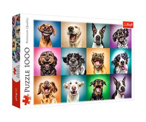 Puslespill - Trefl Puzzle - Funny dog portraits (1000 pieces) Gulv - TFL10462