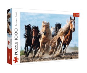 Puslespill - Trefl Puzzle - Galloping horses (1000 pieces) Gulv - TFL10446