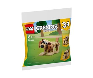 LEGO® - LEGO Creator 30666 Maples gresskarhage - 30666