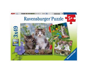 Puslespill - Ravensburger Jigsaw puzzle Young Kittens 3x49pcs. Gulv - 080465