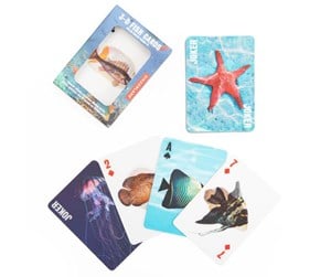 Brettspill & Puslespill - Kikkerland - Fish 3D Cards - GG241