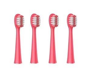 Elektrisk tannbørste - Bitvae Børstehoder K7S toothbrush tips (pink) - SDK7S Pink