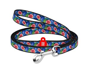 Hund - Waudog nylon dog leash 20 mm wide 122 cm long "fig" - 4201000090-3