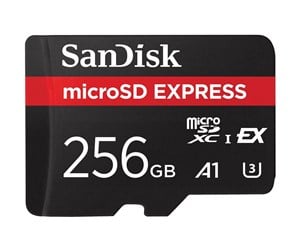 Minnekort - SanDisk Express - flash memory card - 256 GB - microSDXC UHS-I - SDSQXFN-256G-GN4NN