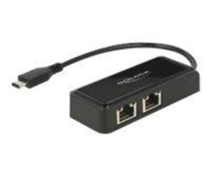 Nettverksadapter - DeLOCK Adapter USB-C 3.1 Gen 1 > 2 x Gigabit LAN 10/100/1000 Mb/s - 63927