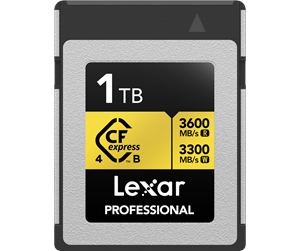 Minnekort - Lexar Professional CFexpress 4.0 Pro Gold - 3600MB/s - 1TB - LCXEXP4001T-RNENG