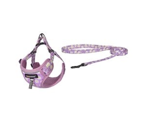 Hund - Dogness walking set leash+harness for dog (pink) - DOG SET PINK