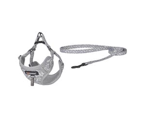 Hund - Dogness walking set leash+harness for dog (light gray) - DOG SET GREY