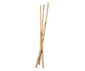 Arts & Crafts - Tilbehør - Colorations - Bamboo sticks 50cm 3 pcs. - 38WD04