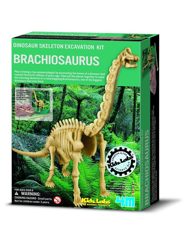 Bilde av 4m Kidz Labs/dig A Brachiosaurus