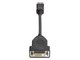 Skjermkabel - HP DVI-kabel - DisplayPort 19cm - FH973AT