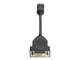 Skjermkabel - HP DisplayPort til DVI-D-kabel - FH973AA