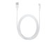 USB - Apple Lightning to USB-cable (0.5 m) - MD819ZM/A