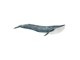 Schleich - Schleich Blue Whale - 14806