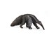 Schleich - Schleich Anteater - 14844