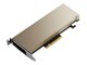 Grafikkort - Lenovo NVIDIA A2 - 16GB GDDR6 RAM - Grafikkort - 4X67A81547