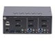 P2DD46A2-KVM-SWITCH