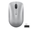 Mus - Lenovo - mouse - compact - 2.4 GHz - cloud grey - Mus - Optisk - 4 - Grå - GY51D20869