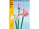 LEGO® - LEGO Flowers 40647 Lotusblomster - 40647