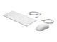 Tastatur - HP Healthcare - keyboard and mouse set - English Input Device - Tastatur & Mussett - Engelsk - 1VD81AA#ABB