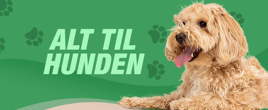 Hund på grøn baggrund med teksten: Alt til hunden