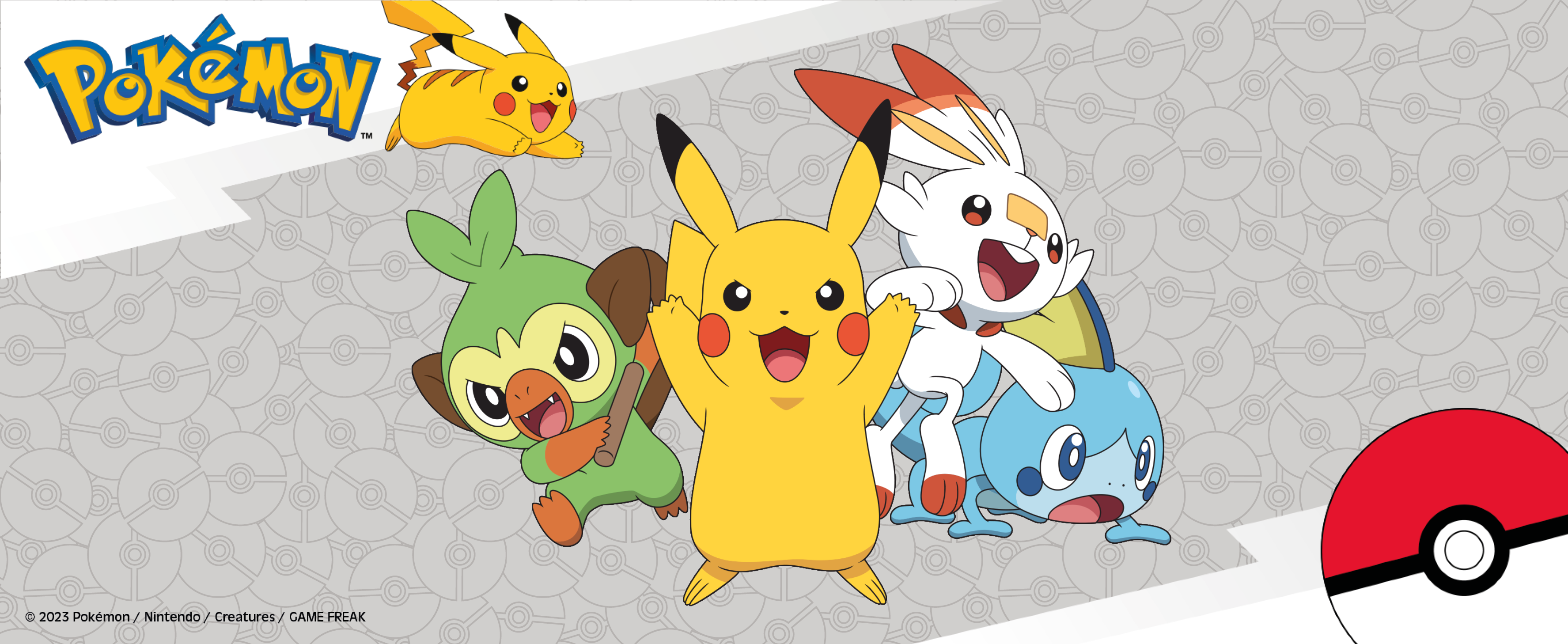 Pokemon-Banner